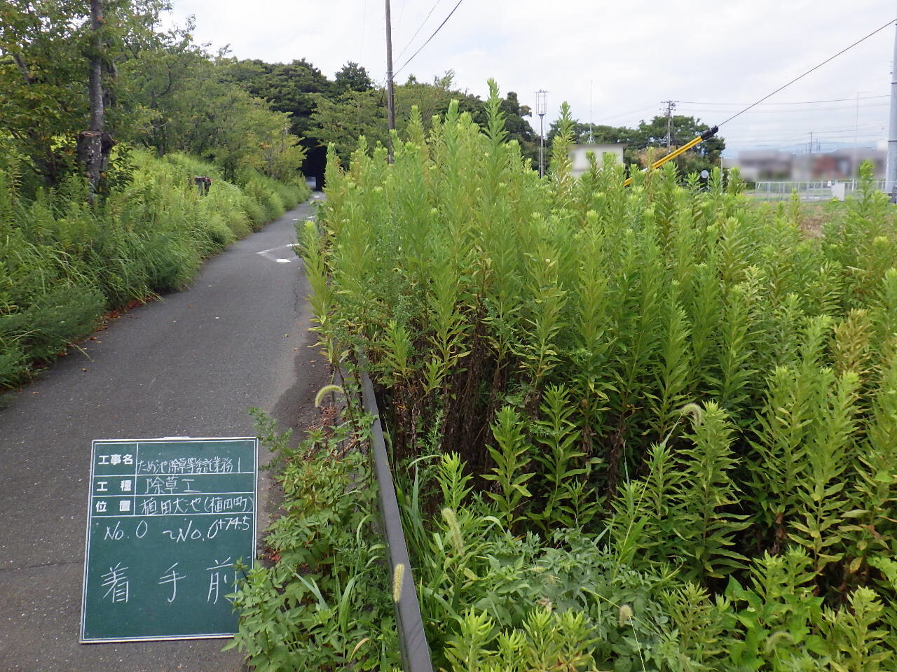 写真：路面排水工事1のイメージ